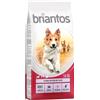 Briantos Adult Salmone & Riso Crocchette per cane - 14 kg