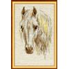 RIOLIS - Luna 827, Kit Punto Croce a Punto Contato 24 x 40 cm, Kit Ricamo Cavallo, Schemi Punto Croce per Adulti con Cavallo, Kit Punto Croce per Adulti Principianti ed Esperti