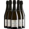 6 Bottiglie Metodo Classico Brut Arnaldo Caprai - Bollicine
