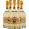6 Bottiglie Prosecco DOC Treviso Butterfly 2023 Astoria - Bollicine