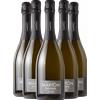 6 Bottiglie Prosecco DOC Treviso Millesimato 2024 Extra Dry Martòn - Bollicine
