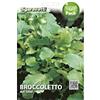 SGARAVATTI CIMA DI RAPA ALL'OLIO SENZA TESTA 100 G