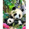 Meecaa Set di punto croce, 11 fili, timbrato, fiore animale bambù panda kit da ricamo con accessori, prestampato (36 cm x 46 cm) (Panda)