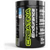 Net Integratori Creatina Endurance 360 gr