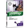 Bayer Advantage Spot-On Antiparassitario per Gatti 4 Pipette 0,8 ml