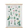 Grupo Erik: Stampa su Tela - Botanical Cacti | Stampa da parete su tela con cornice legno a stecche e corda per appenderla, ideale come decorazione casa o poster da parete vintage