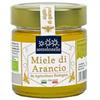 Sottolestelle MIELE ITALIANO ARANCIO 280G