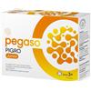 PEGASO PIGRO JUNIOR 14 BUSTINE DA 1,5 G