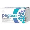 PEGASO ENTERODOPHILUS 14 STICKPACK