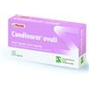 Pegaso Linea Ginecologica Candinorm Pro ovuli vaginali 10 pezzi