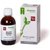 Fitomedical SALICE GEMME MACERATO GLICERICO 50 ML