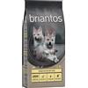Briantos Junior Pollo & Patate - senza cereali Crocchette per cani - 12 kg
