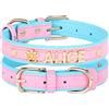 Didog Collari per Cani Cuccioli Personalizzati in Pelle PU Liscia con Lettere di Nome Personalizzate con Strass, Adatti per Cani di Piccola Taglia Media (XS: 5/8 * 8-10, Rosa-1)
