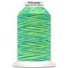 Das h pfende Komma Das hüpfende Komma Gütermann Bulky-Lock Multicolour No.80 Lime-Blue 1000 m