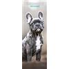 Magnet & Steel Bulldog 2023 - Calendario sottile, multicolore