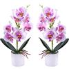 XONOR Fiori di orchidea artificiali, 2 pezzi in vaso di plastica orchidee finte con per centrotavola decorazioni per la casa decorazioni per feste di matrimonio in ufficio (Viola)