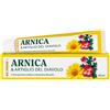 NATURWAREN ITALIA Srl DR THEISS ARNICA & ARTIGLIO