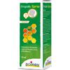 BOIRON Srl Propolis Spray Adulto Boiron 15ml