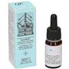 Alkaest QUINTESSENZA QE13 MENTA 10ML