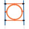 zooplus Exclusive Anello per percorsi Agility Fun & Sport - Ø 55 cm