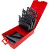 DORMER Serie 25 punte trapano Hss DIN338 1-13 mm Dormer A190204