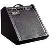 Coolmusic DM100 PA Workstation Amplificatore per monitor personale, Amplificata per batteria elettronica, Tastiera e altoparlante per chitarra acustica