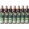 ARTESANIA AGRICOLA Art. Agricola Plantis 37 Rosa Silv. 10Ml Art. Agricola - 10 ml