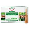 Equilibra Tricologica 10 Fiale Anticaduta Fortificanti 8 Ml