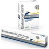 DRN Srl ENTEROMICRO PASTA 15ML*