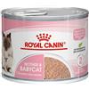 Royal Canin FELINE HEALTH NUTRITION WET MOTHER & BABYCAT INSTINCTIVE 195 G