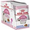 Royal Canin Cibo umido per gatti Royal Canin Kitten jelly 85 g confezione 12 pz.