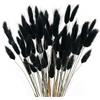 JKDHJK 50 Count Erba Della Pampas Fiori Secchi Never Fade Natural Fiori Secchi Decorativi Boho Decor Super Fluffy for Home Decor, Wedding Decor, Birthday Decor (Nero)