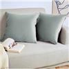 Blumtal Set di 2 Federe Cuscini Divano 40x40 cm in Velluto, con Chiusura Lampo Invisibile, Eleganti Copricuscini Divano in Morbido Velluto,Taglia 40 x 40, Grigio