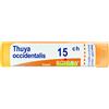 Boiron Thuya Occidentalis Granuli Omeopatici Monodose 15CH, 4g
