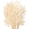 JKDHJK 50 Count Erba Della Pampas Fiori Secchi Never Fade Natural Fiori Secchi Decorativi Boho Decor Super Fluffy for Home Decor, Wedding Decor, Birthday Decor (Bianco)