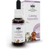BUSH BIOTHERAPIES Pty Ltd Calming Separation - 30ML
