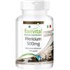 Fairvital | Hericium 500mg - 1 mese - VEGAN - alto dosaggio - 90 capsule - Hericium - polvere di funghi