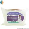 Natura Verde FROZEN II SALVIETTE IGIENIZZANTI DI ELSA - CONFEZIONE DA 20 PEZZI CON AZIONE ANCHE DETERGENTE | ORIGINALI DISNEY