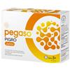 SCHWABE PHARMA ITALIA Pegaso Pigro Junior 14 Bustine