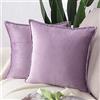 Madizz 2 Pezzi Federe in Velluto Copricuscini Morbido Decorativo Fodere per Cuscino Lusso Stile per Divano Camera da Letto Viola Quadrate 60x60 cm