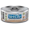 Vet Life Farmina Convalescence 85g umido dietetico gatto 12 x 85g
