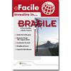 Ipsoa eBook - Investire in... Brasile