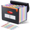 ThinkTex Cartella Portadocumenti Espandibile, A4 Porta Documenti Fisarmonica, 12 Tasche Raccoglitore Documenti, Portatile Cartelle a Soffietto per Casa Scuola Ufficio