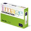 Image Coloraction Coloraction Antalis 838A - Risma di carta 080S 26, formato A4, 80 g/m², colore: verde