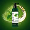 PERRIGO ITALIA Srl RESTIVOIL TECNONAT GRASSI SHAMPOO 250 ML