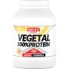 WHY SPORT VEGETAL 100% PROTEIN - Proteine Vegetali - Proteine in Polvere - Proteine del Pisello e del Riso - Gusto Vaniglia - 750 gr