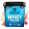 Bodylab24 Whey Protein Powder Fragola con pezzi di cioccolato bianco 1kg, proteine per muscoli più forti, whey può promuovere la costruzione dei muscoli, con 80% di proteine, senza aspartamee