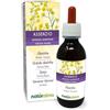 Naturalma Assenzio maggiore (Artemisia absinthium) erba con fiori Tintura Madre analcoolica NATURALMA | Estratto liquido gocce 100 ml | Integratore alimentare | Vegano