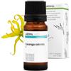 Aroma Labs Ylang Ylang III BIO (Cananga odorata - III) - 5 mL - Olio Essenziale Chemiotipizzato e Certificato AB - Aroma Labs - Made in France
