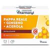 VITARMONYL - NECTAR ROYAL - PAPPA REALE GINSENG ACEROLA - Integratori per ridurre la stanchezza e favorire il normale funzionamento del sistema immunitario - Confezione da 10 fiale - 100 ml